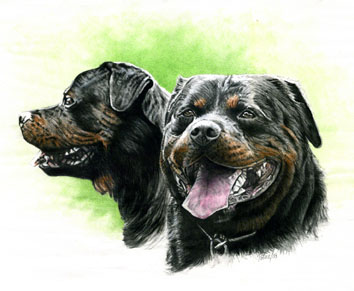Carlos ~ Watercolour Painting by Patrice Carlos ~ Watercolour Painting by Patrice