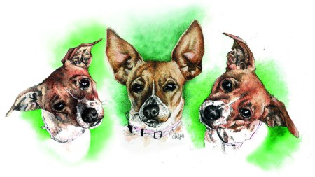 3 Faces of Foxy - Watercolour Painting by Patrice
