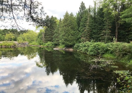 Peaceful Scene ~ Photo by Patrice Peaceful Scene ~ Photo by Patrice