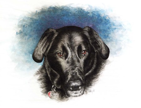 Shelby Painting ~ Watercolour Art by Patrice