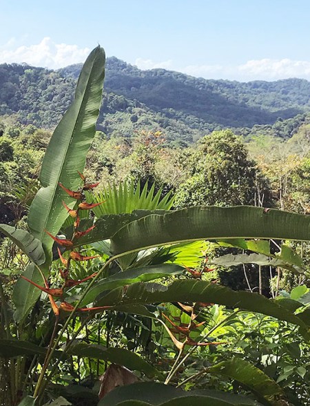 Costa Rican View ~ Photo by Patrice