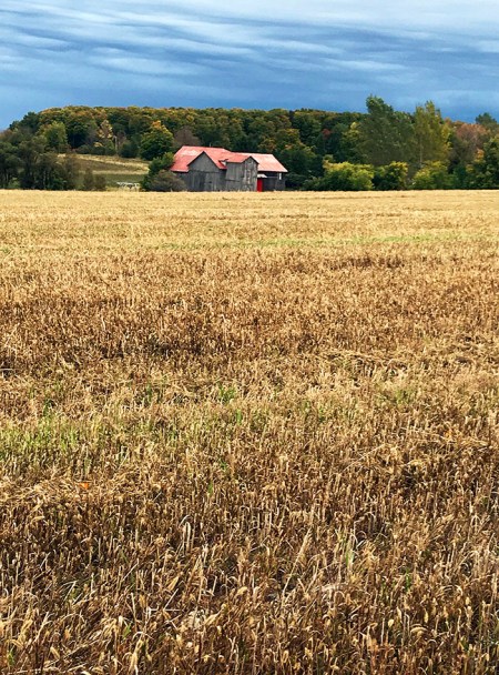 Red Roof Barn ~ Photo by Patrice