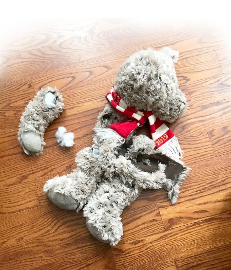 Ceile's Torn Teddy Bear ~ Photo by Patrice