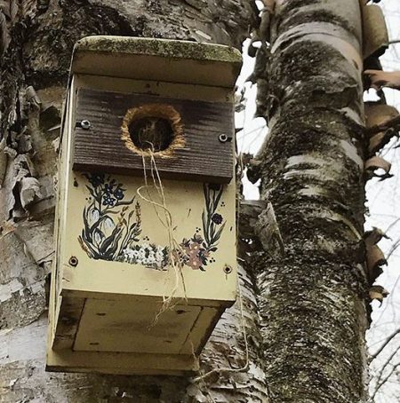 Fractured Birdhouse ~ Photo by Patrice