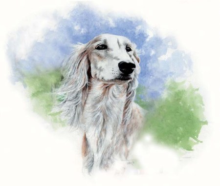 Saluki ~ Watercolour by Patrice