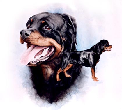 Courageous Rottie ~ Watercolour by Patrice Courageous Rottie ~ Watercolour by Patrice