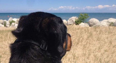 Ceile at the Beach ~ Photo by Patrice