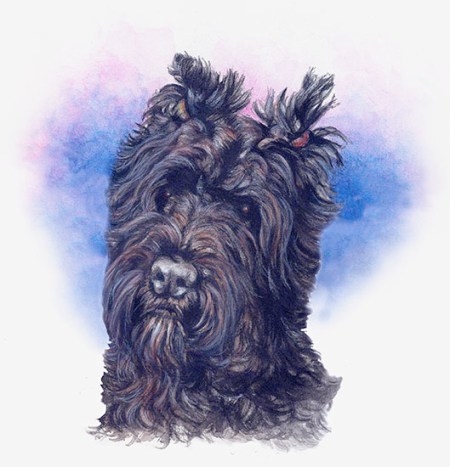 I Have Heard ~ Watercolour by Patrice