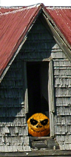 Halloween Face in Window ~ Photo by Patrice
