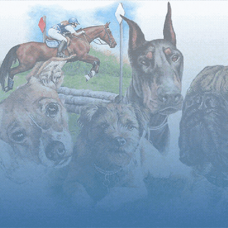 HURRY! - Pick To Win Contest Ends HURRY! - Pick To Win Contest Ends