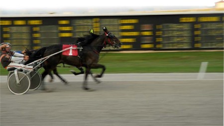 Running First ~ Photo by Patrice Running First ~ Photo by Patrice