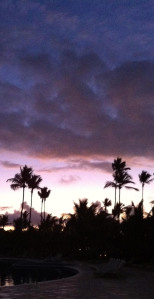 Palm Tress in the Sunset ~Photo by Patrice Palm Tress in the Sunset ~Photo by Patrice