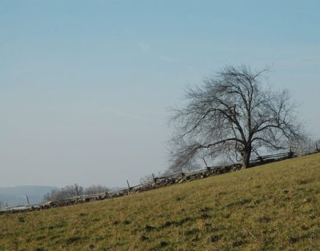 Mulmur Hills Farmland ~ Photo by Patrice Mulmur Hills Farmland ~ Photo by Patrice
