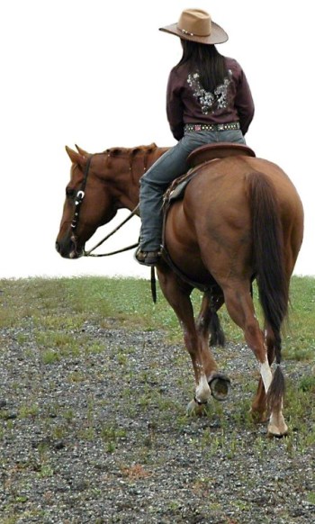 Rodeo Rider ~ Photo by Patrice Rodeo Rider ~ Photo by Patrice