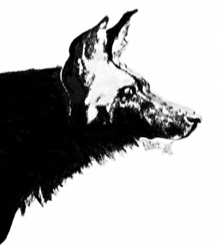 Lone Dog – Art by Patrice Lone Dog – Art by Patrice