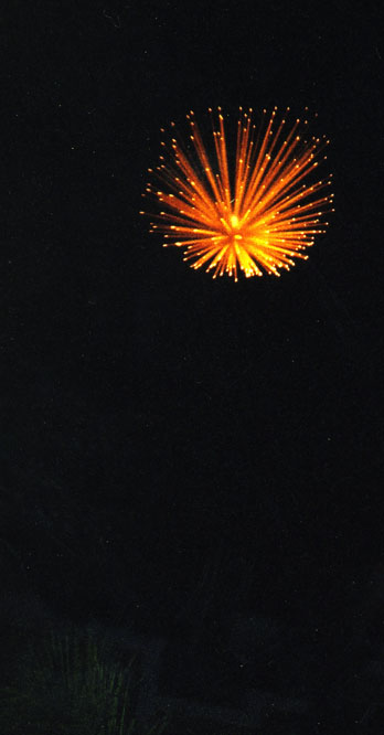 Fireworks in the Night Sky ~ Photo by Patrice