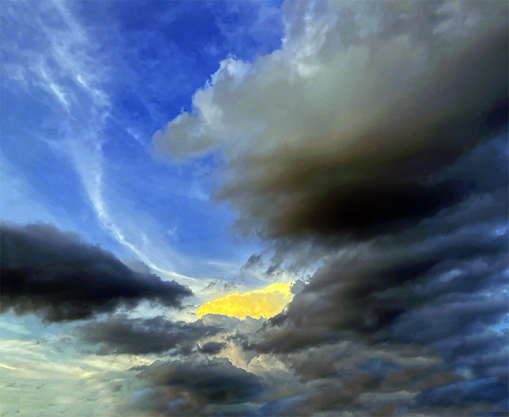 I Am A Survivor ~ Photo by Patrice I Am A Survivor ~ Photo by Patrice
