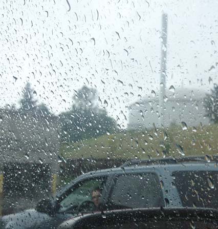 Summer Torrent of Rain ~ Photo by Patrice