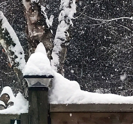 Winter Snow ~ Photo by Patrice