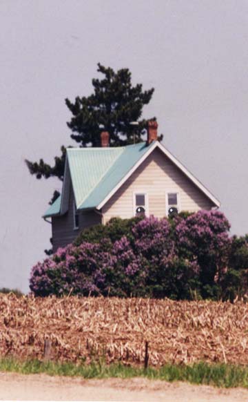 Farmhouse Face and Lilacs ~ Photo by Patrice Farmhouse Face and Lilacs ~ Photo by Patrice