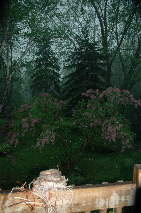 The Water Weeps ~ Photo by Patrice