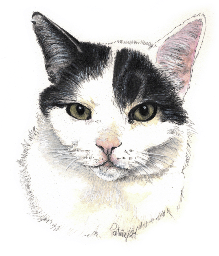 No More Will I Be ~ Watercolour by Patrice