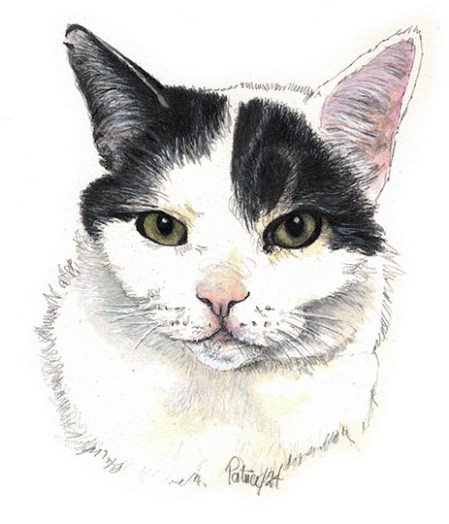 No Choice ~ Watercolour Painting by Patrice