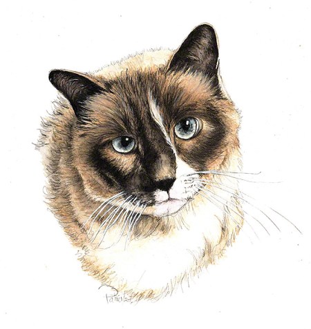 You ~ Watercolour Painting by Patrice