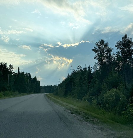 I Have To Seek ~ Photo by Patrice