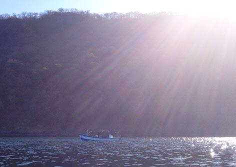 The Sun Shines Bright ~ Photo by Patrice The Sun Shines Bright ~ Photo by Patrice