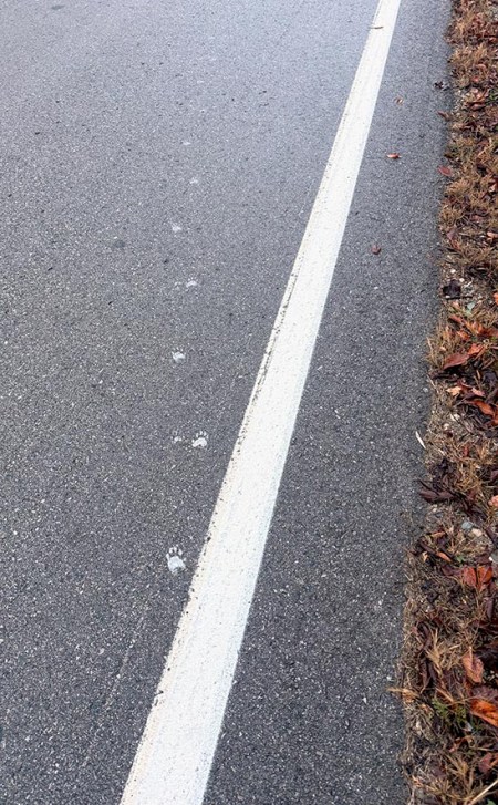 Sometimes ~ Photo by Patrice