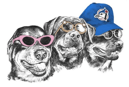 3 Blue Jay Rotties
